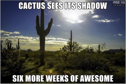 Feb 2 - Ground Hog Day. A Saguaro sees its shadow, six more weeks of awesome! It was on the news so it must be true. Feb 2 - Ground Hog Day. A Saguaro sees its shadow, six more weeks of awesome! It was on the news so it must be true.
